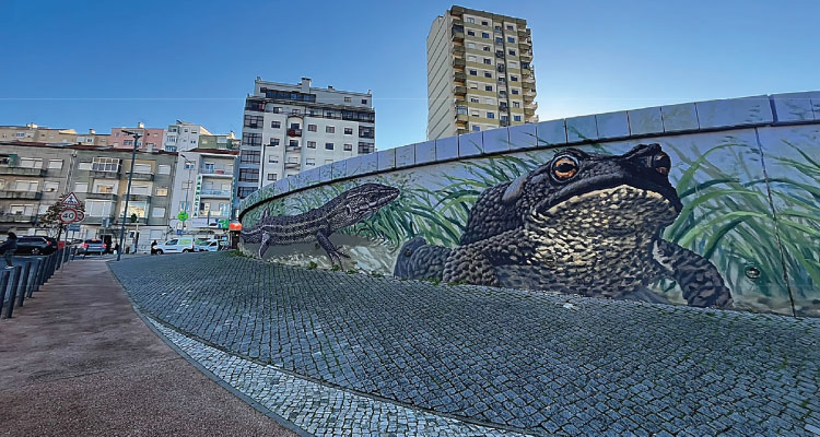 Projeto de Street Art renova muro no Bairro do Pendão | Queluz