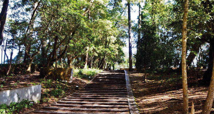AVISO | Jardim da Biblioteca de Sintra encerrado temporariamente