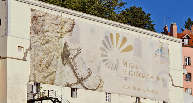 Museu História Natural-Sintra