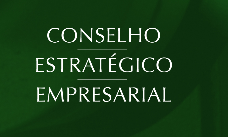 Imagem Web Conselho Estratégico Empresarial
